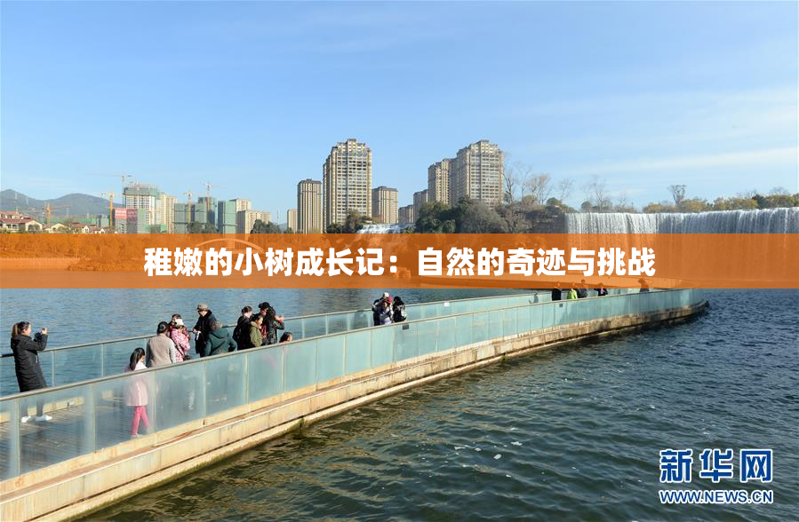 稚嫩的小树成长记：自然的奇迹与挑战