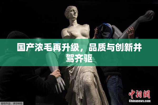 国产浓毛再升级，品质与创新并驾齐驱
