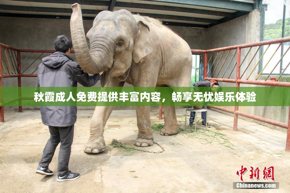 秋霞成人免费提供丰富内容，畅享无忧娱乐体验