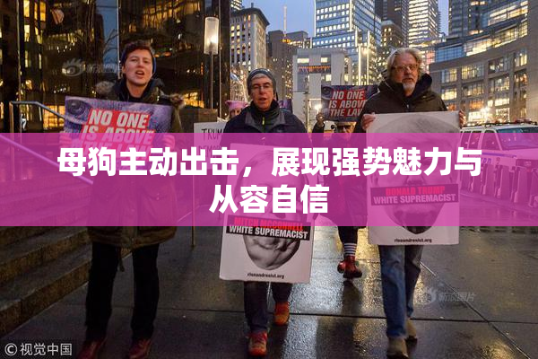 母狗主动出击，展现强势魅力与从容自信