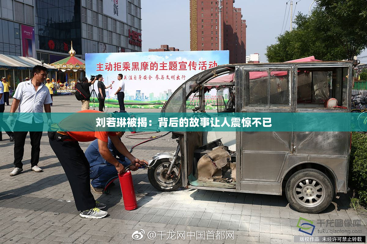 刘若琳被揭：背后的故事让人震惊不已