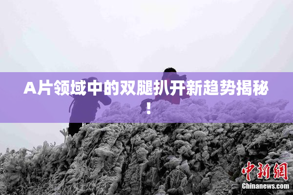 A片领域中的双腿扒开新趋势揭秘！