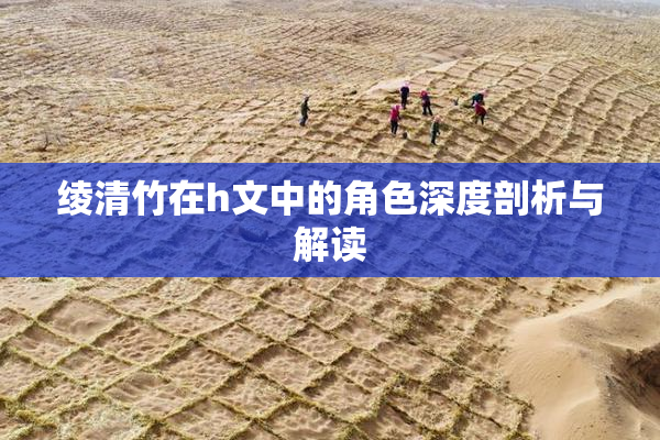 绫清竹在h文中的角色深度剖析与解读