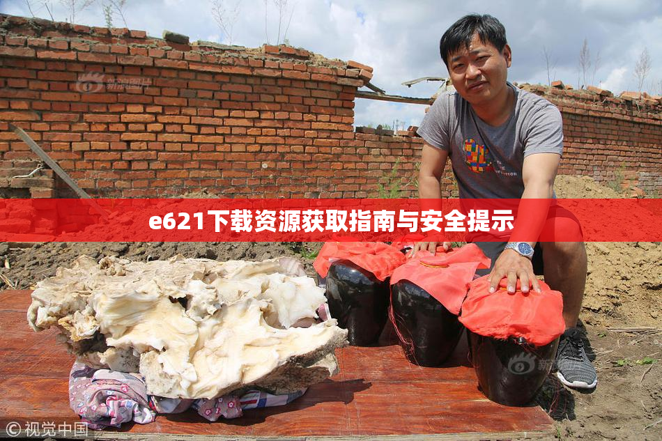 e621下载资源获取指南与安全提示