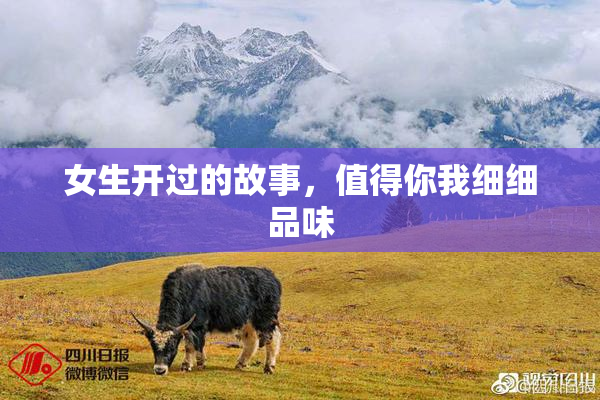 女生开过的故事，值得你我细细品味