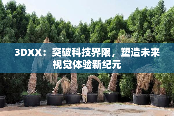 3DXX：突破科技界限，塑造未来视觉体验新纪元