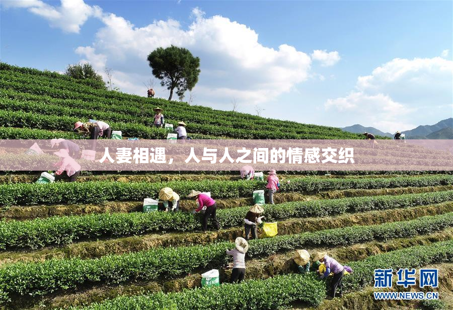 人妻相遇，人与人之间的情感交织