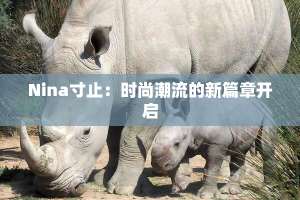 Nina寸止：时尚潮流的新篇章开启