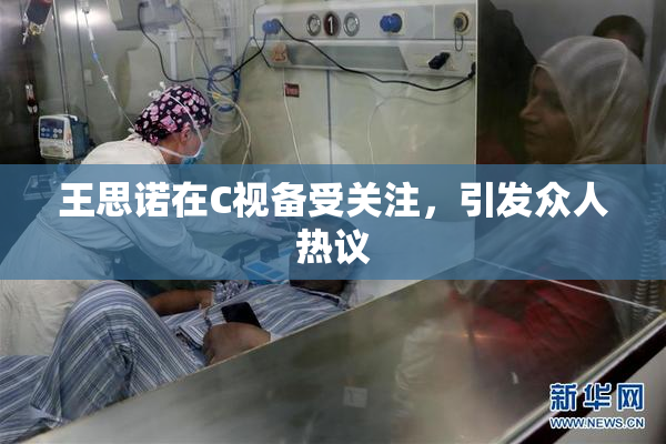王思诺在C视备受关注，引发众人热议