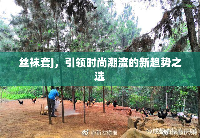丝袜套j，引领时尚潮流的新趋势之选