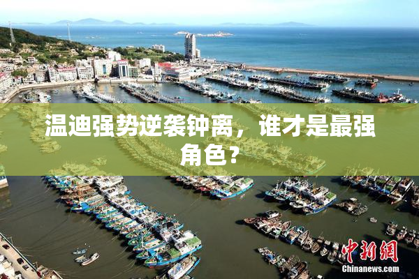 温迪强势逆袭钟离，谁才是最强角色？