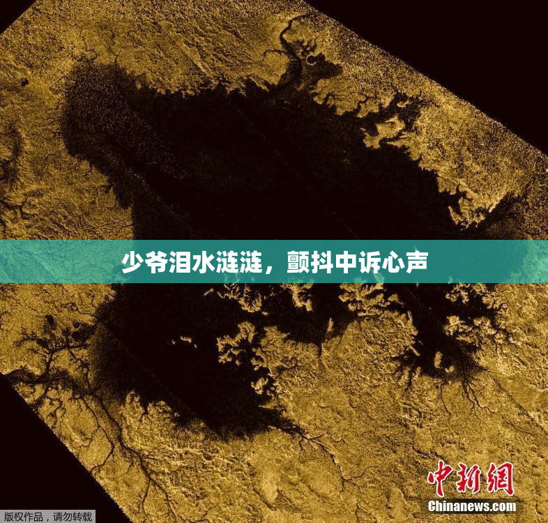 少爷泪水涟涟，颤抖中诉心声