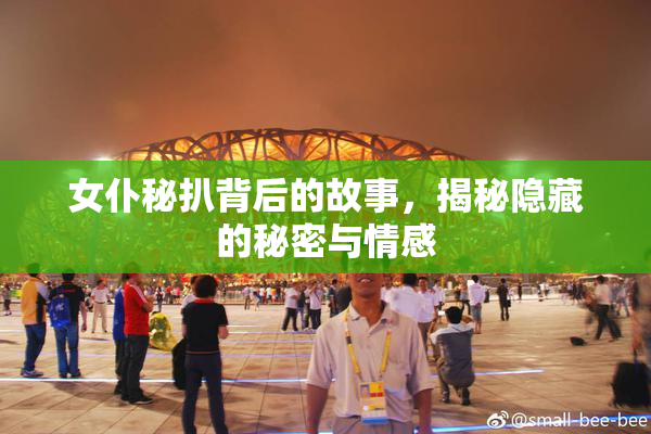 女仆秘扒背后的故事，揭秘隐藏的秘密与情感