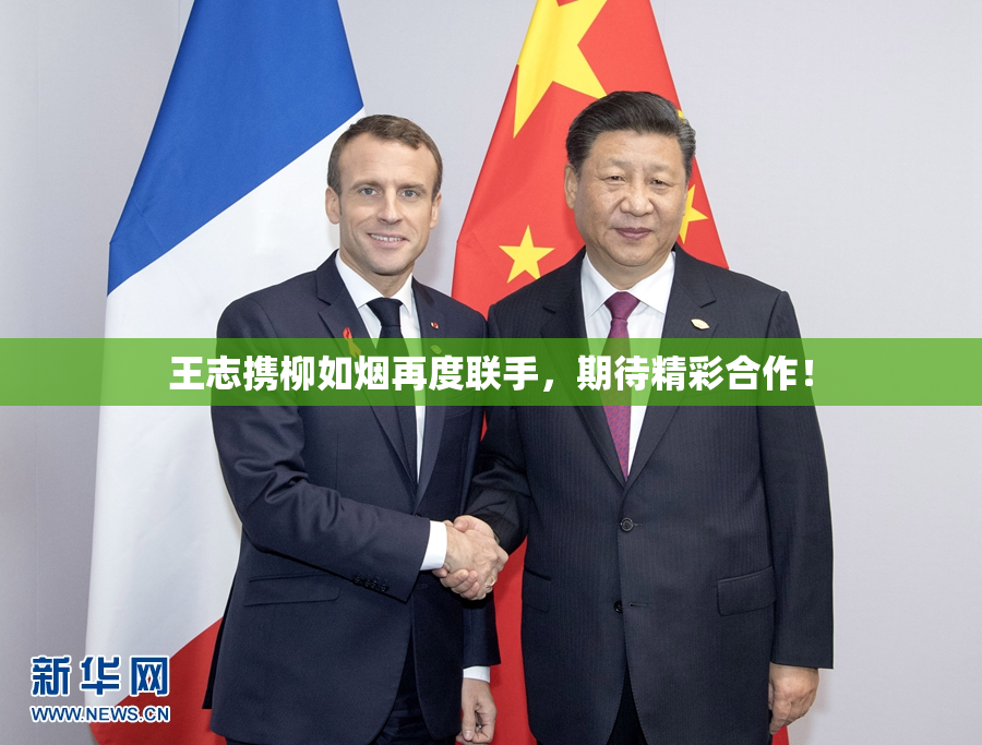 王志携柳如烟再度联手，期待精彩合作！