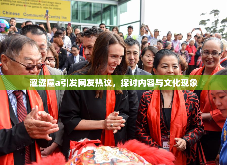 涩涩屋a引发网友热议，探讨内容与文化现象