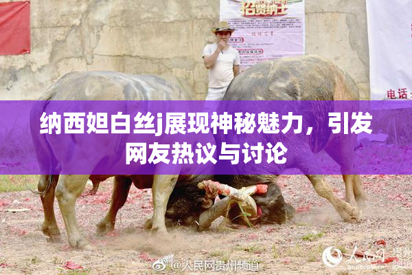 纳西妲白丝j展现神秘魅力，引发网友热议与讨论