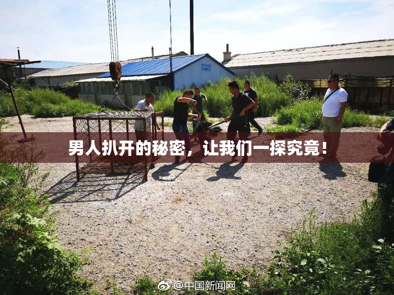 男人扒开的秘密，让我们一探究竟！