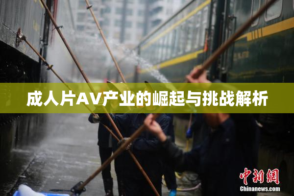 成人片AV产业的崛起与挑战解析
