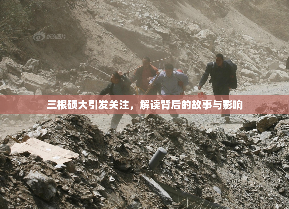 三根硕大引发关注，解读背后的故事与影响