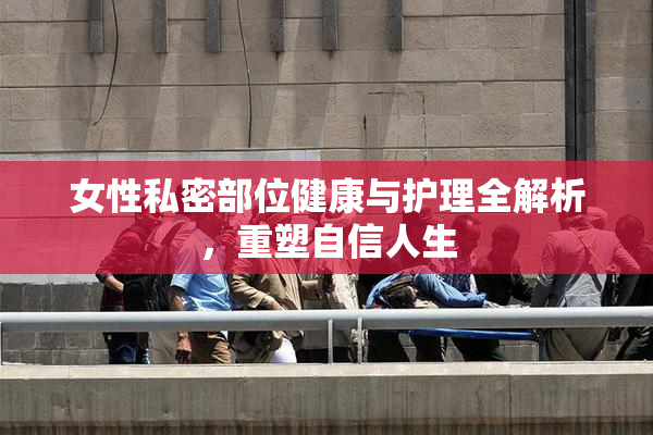 女性私密部位健康与护理全解析，重塑自信人生