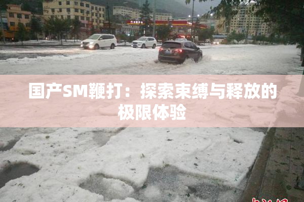 国产SM鞭打：探索束缚与释放的极限体验