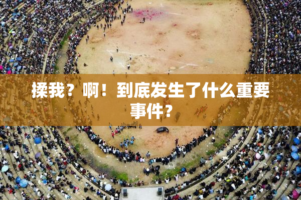 揉我？啊！到底发生了什么重要事件？
