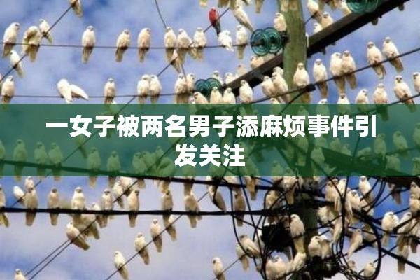 一女子被两名男子添麻烦事件引发关注