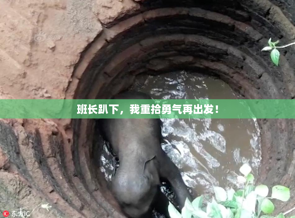班长趴下，我重拾勇气再出发！