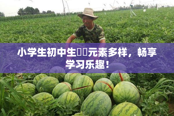 小学生初中生❌‌元素多样，畅享学习乐趣！