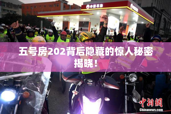 五号房202背后隐藏的惊人秘密揭晓！