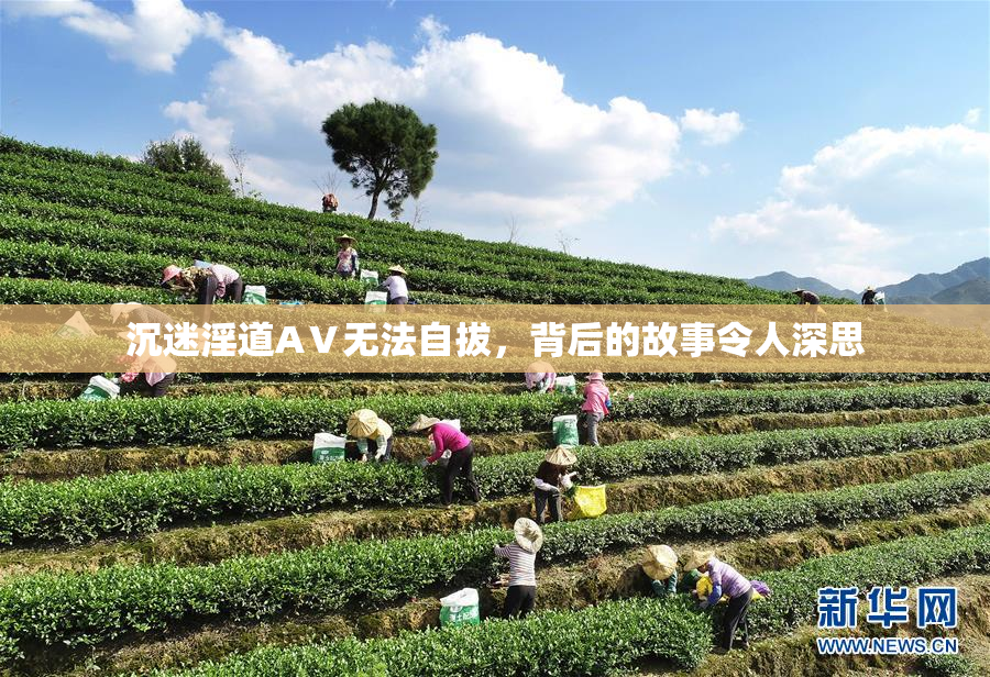 沉迷淫道AⅤ无法自拔，背后的故事令人深思