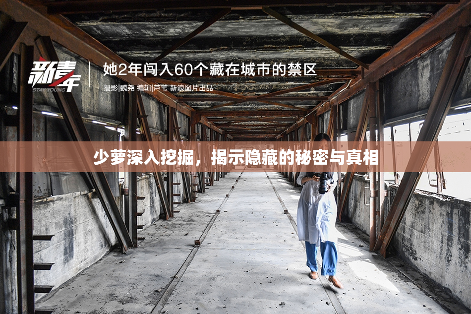 少萝深入挖掘，揭示隐藏的秘密与真相