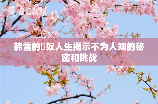 韩雪的婬奴人生揭示不为人知的秘密和挑战