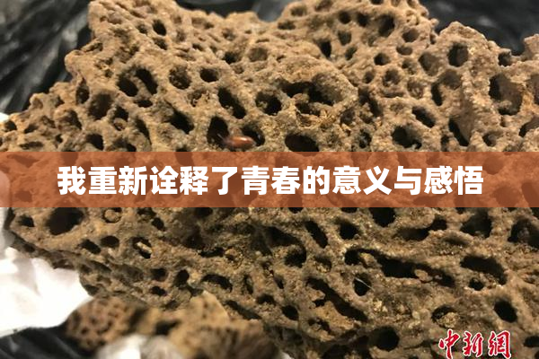 我重新诠释了青春的意义与感悟