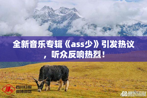 全新音乐专辑《ass少》引发热议，听众反响热烈！
