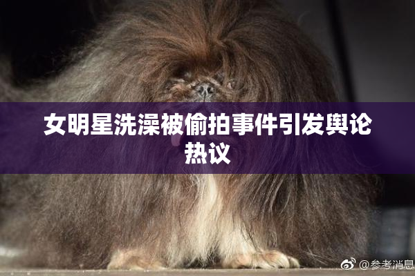 女明星洗澡被偷拍事件引发舆论热议
