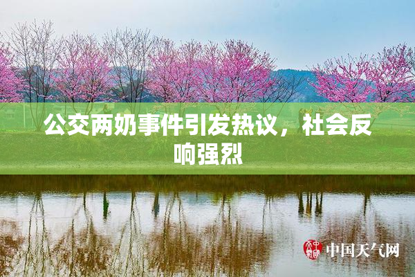 公交两奶事件引发热议，社会反响强烈