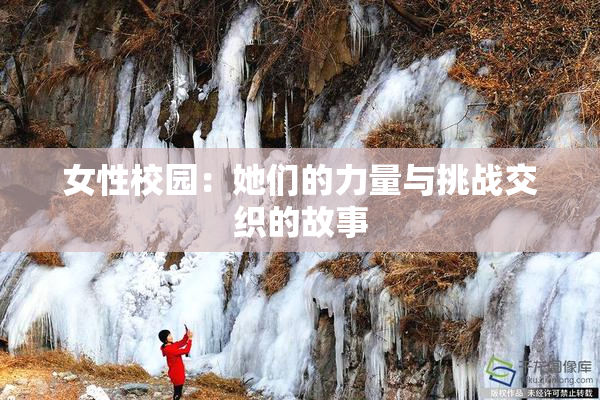 女性校园：她们的力量与挑战交织的故事