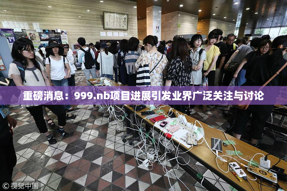 重磅消息：999.nb项目进展引发业界广泛关注与讨论
