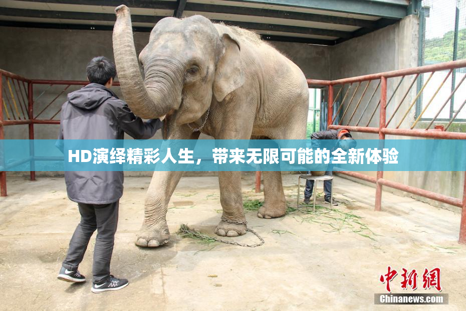 HD演绎精彩人生，带来无限可能的全新体验
