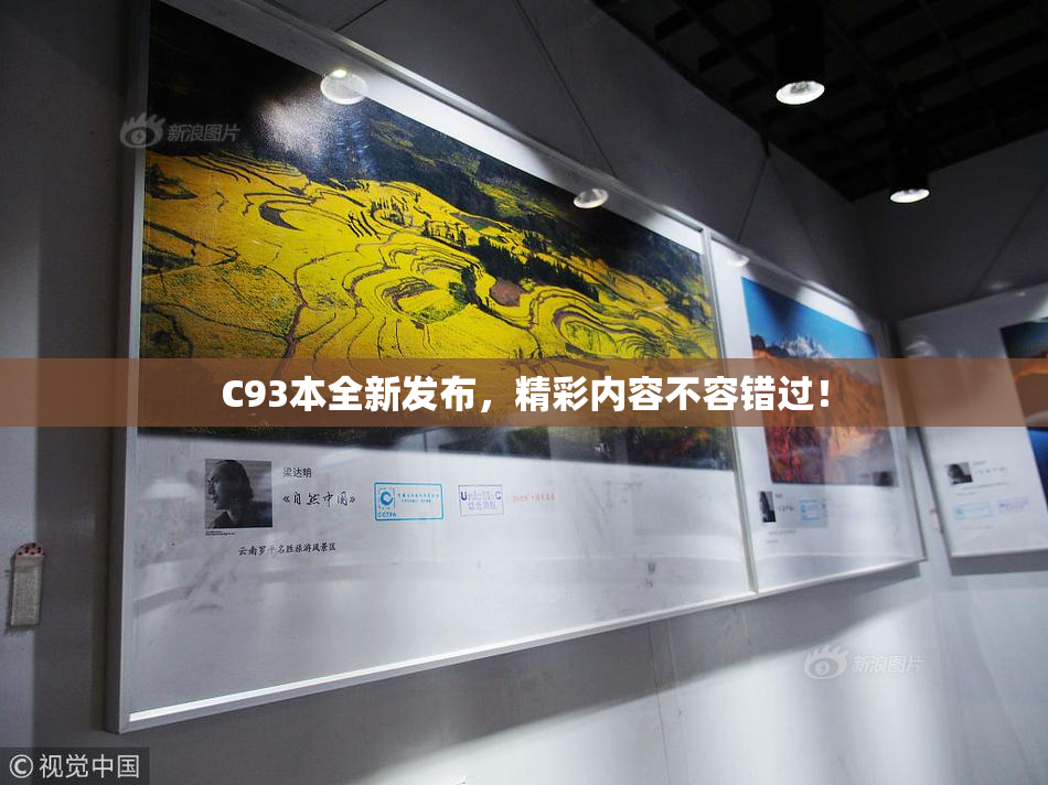 C93本全新发布，精彩内容不容错过！