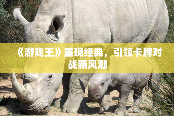 《游戏王》重现经典，引领卡牌对战新风潮