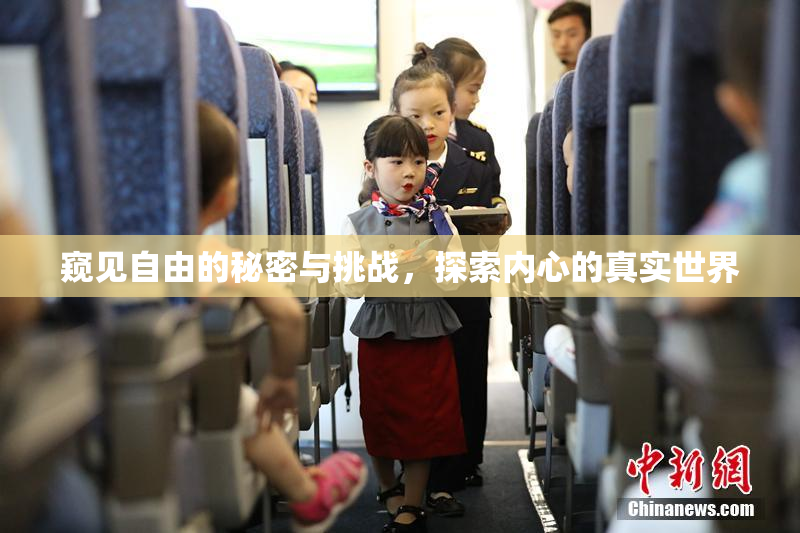 窥见自由的秘密与挑战，探索内心的真实世界