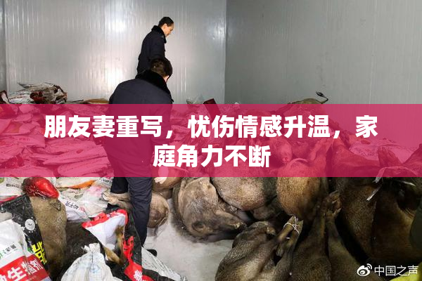 朋友妻重写，忧伤情感升温，家庭角力不断
