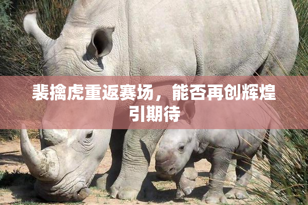 裴擒虎重返赛场，能否再创辉煌引期待
