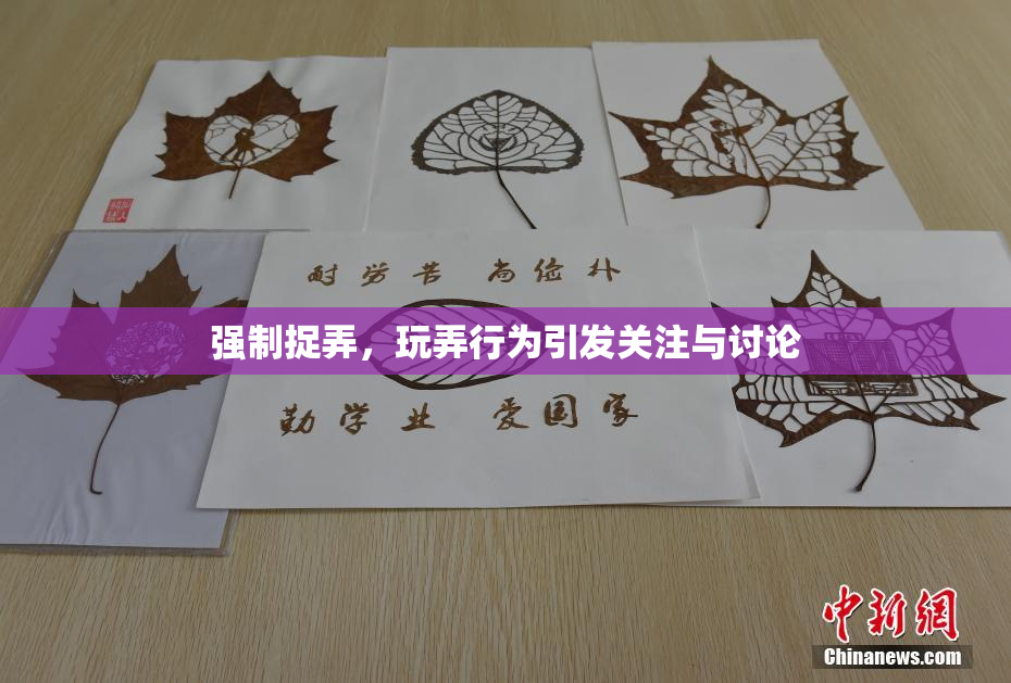 强制捉弄，玩弄行为引发关注与讨论