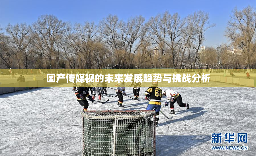 国产传媒视的未来发展趋势与挑战分析