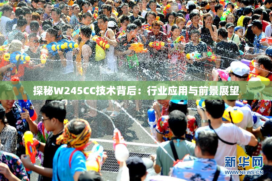探秘W245CC技术背后：行业应用与前景展望
