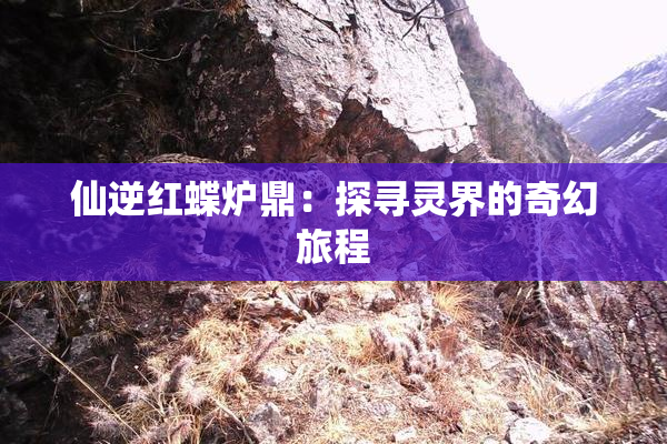 仙逆红蝶炉鼎：探寻灵界的奇幻旅程