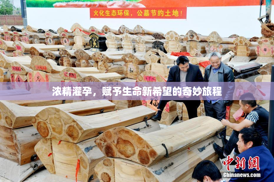 浓精灌孕，赋予生命新希望的奇妙旅程